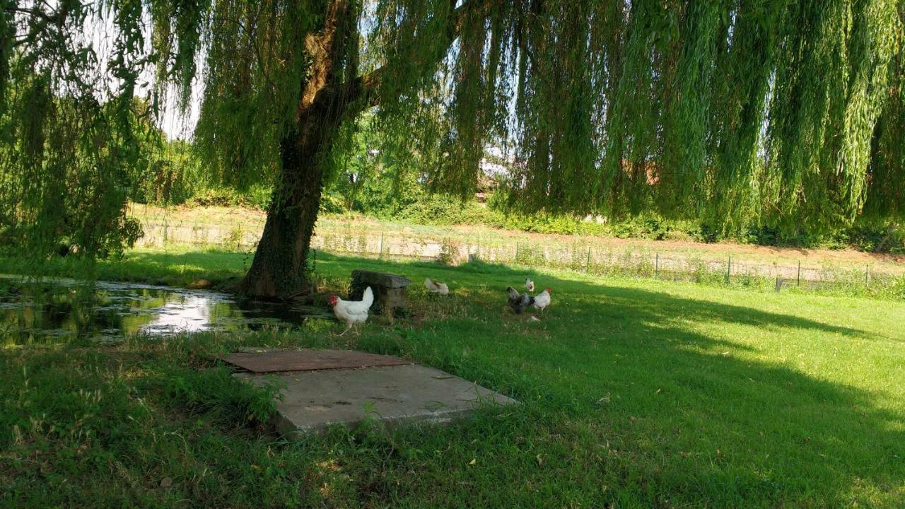 Agriturismo Cascina Poscallone Abbiategrasso Exteriér fotografie